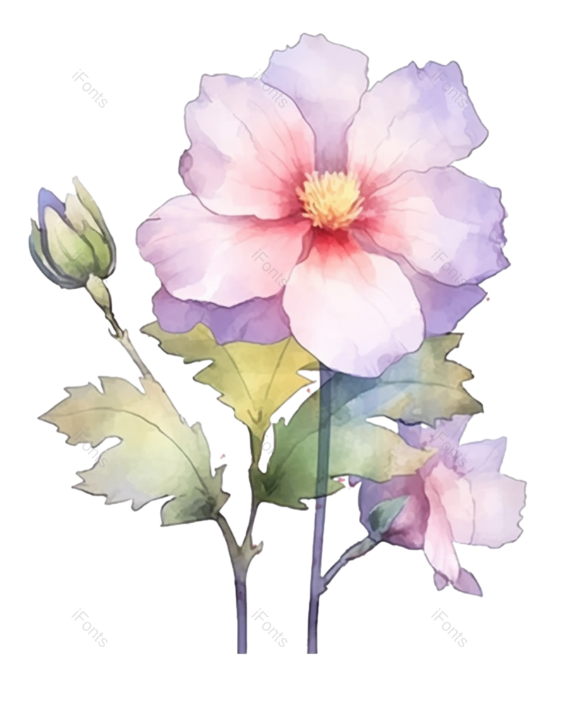 清新图片,粉红色的花元素,水彩画PNG,设计元素免抠素材